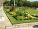 parterre de fleurs jaunes